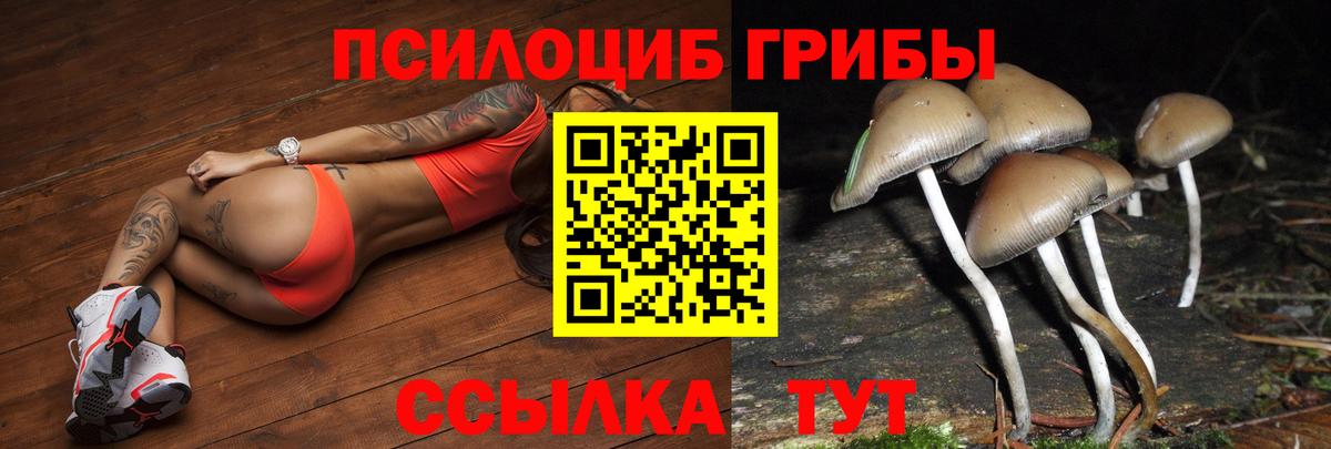 Псилоцибиновые грибы прущие грибы  Вход с VPN  Сызрань 